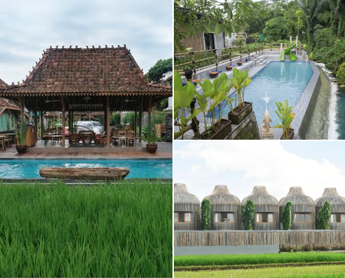 Rekomendasi Hotel di bawah Rp. 500Ribu di Jogja cover photo collage