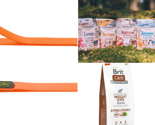 Pet friendly cover photo collage