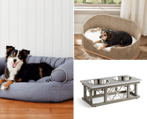 For your pet🐶🤎 cover photo collage