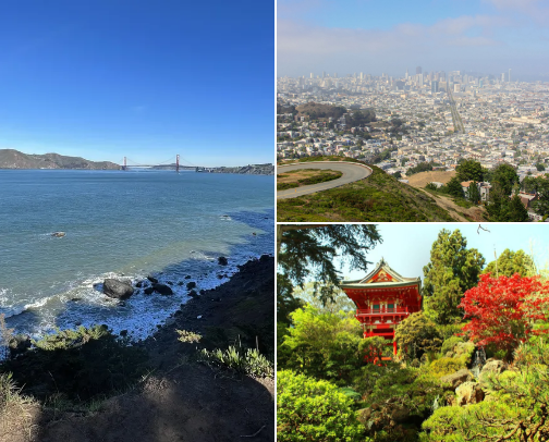 Best FREE adventures next time you’re in San Francisco 🌉 cover photo collage