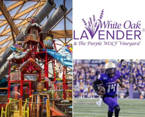 Things to do in Harrisonburg, VA cover photo collage