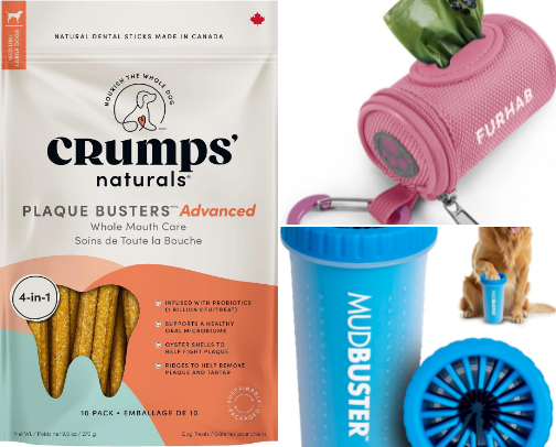 Dog Products That Everyone Needs 🐶 cover photo collage