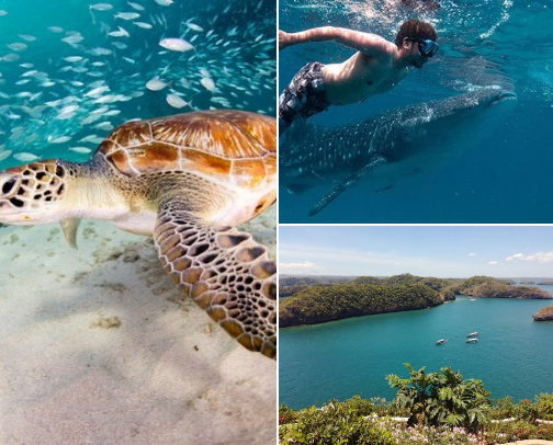 Philippines : Tourist Spots & Hidden Gems cover photo collage