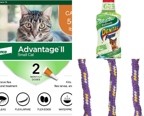 Orion and Nova's Faves 🐈🐈‍⬛ cover photo collage