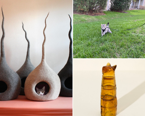 The best gifts for a cat parent cover photo collage