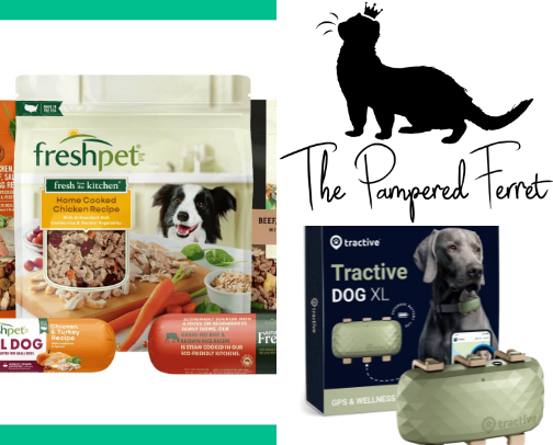 Puppies and ferrets cover photo collage