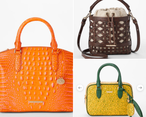 Brahmin Collection cover photo collage