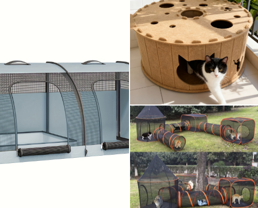 TEMU Pet items cover photo collage