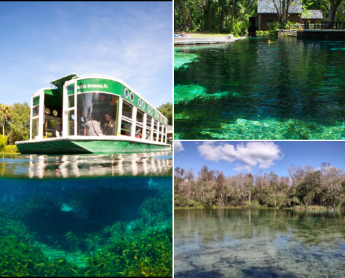 Ocala & Silver Springs Day Trip Guide: Glass-Bottom Boats, Springs & Horse Country Near Orlando cover photo collage