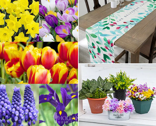 Hello Spring! Fun Finds🌷🌷🌼 cover photo collage
