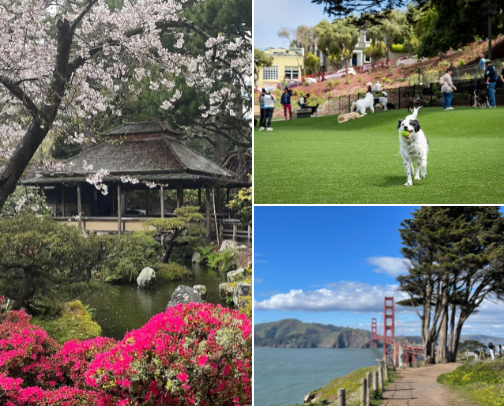 Best place to go when visit San Francisco cover photo collage