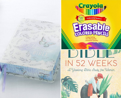 Bibles, Studies, and Journaling Supplies cover photo collage