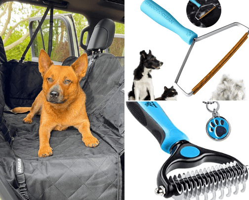 If you have a dog.... cover photo collage