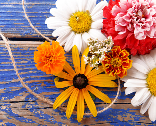 Living Whimsically cover photo collage