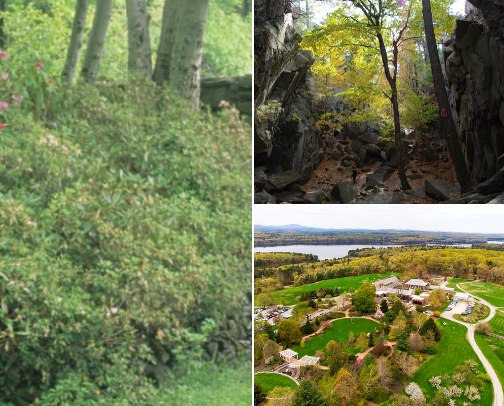 Best Things to Do in Worcester County & Central Massachusetts cover photo collage