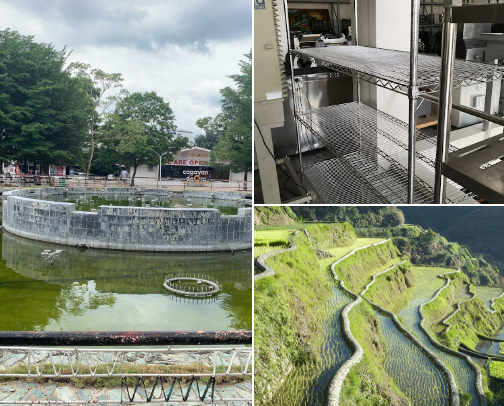 My top local recs cover photo collage