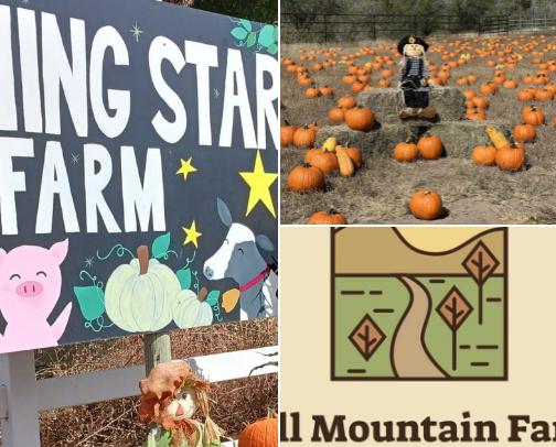 🌻 Fall Family Bucket List- Colorado cover photo collage