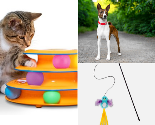 Stuff for pets cover photo collage