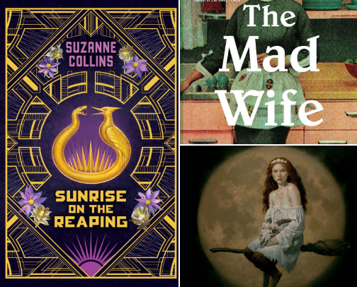 5 Star Reads 2025 cover photo collage