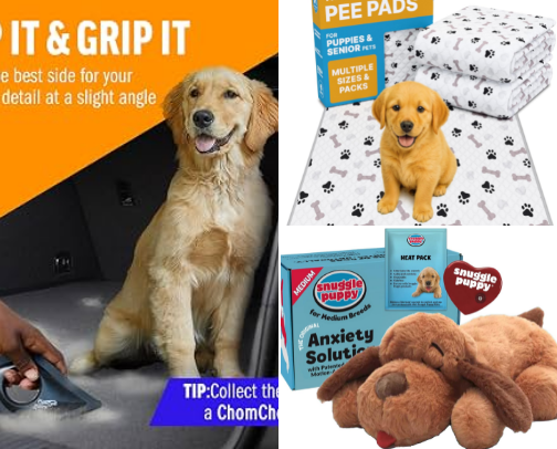 Amazon Must-Haves for New Puppy Parents cover photo collage