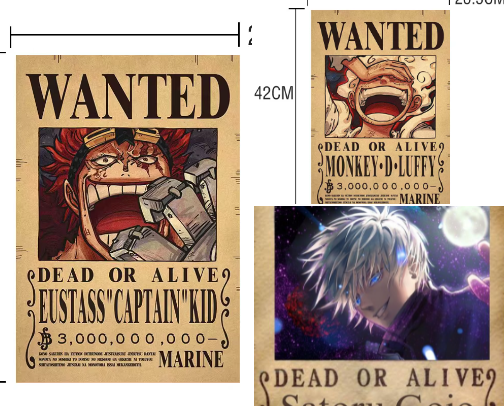 One piece wanted posters cover photo collage
