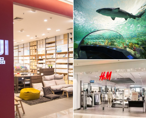 Places worth visiting!! cover photo collage