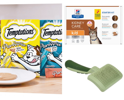 Take Care of Your Pets HERE cover photo collage