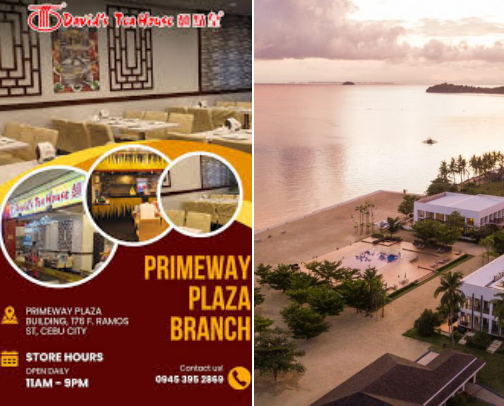 My top local recs cover photo collage
