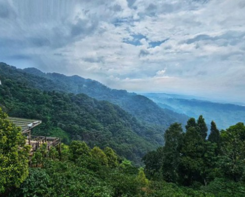 Near Jakarta, Hiking and trail for begineer cover photo collage