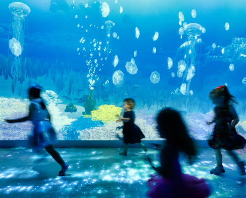 Melbourne aquarium sealife cover photo collage