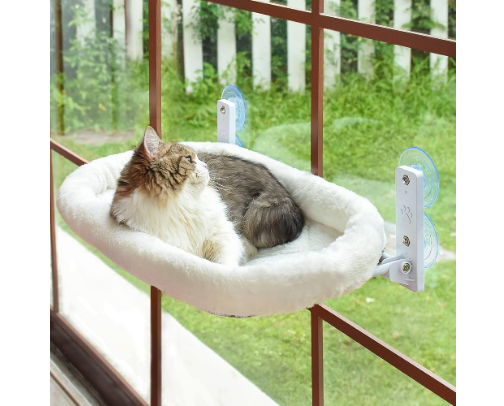 A Spoiled Cat’s Favorites cover photo collage