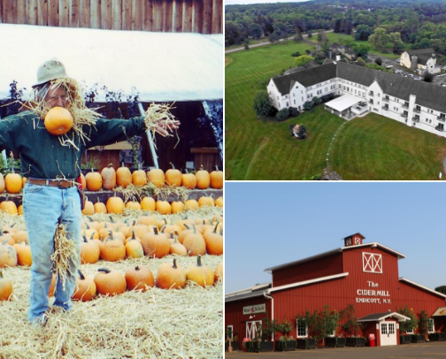 New York Autumn Recommendations 🍎🍂 cover photo collage