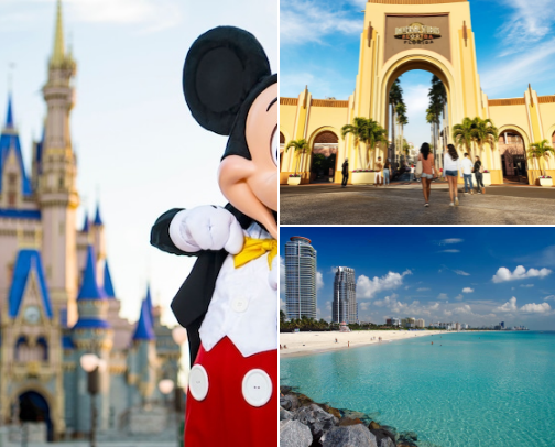 🌴 Top 15 Places to Visit in Florida cover photo collage