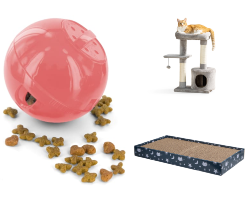 Indoor Cat Enrichment for Small Apartments: Renter-Friendly Picks cover photo collage