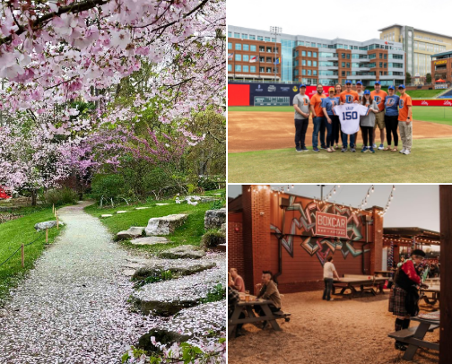 Durham North Carolina Activities and Restaurants cover photo collage