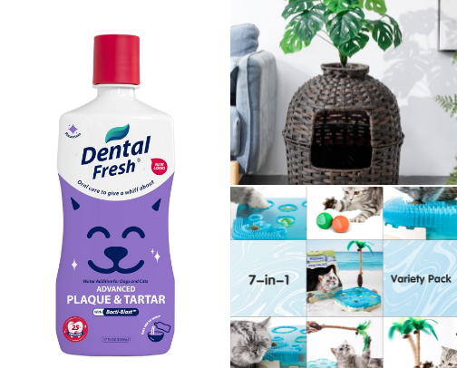Cat Care cover photo collage