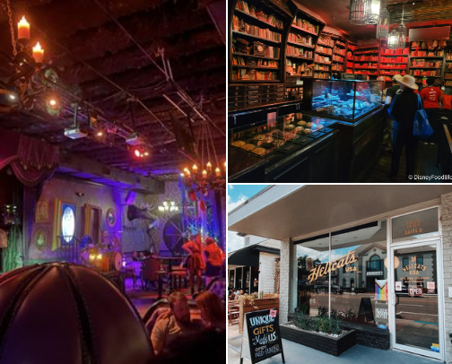 Weird Shops in Central Florida cover photo collage