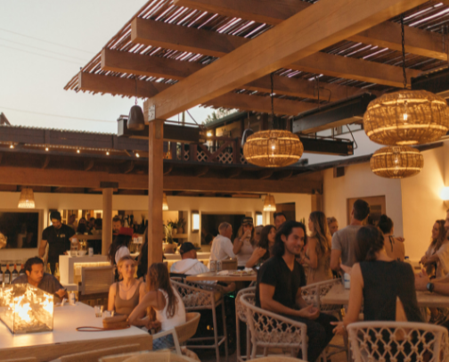 Best Places to Explore in Surry Hills cover photo collage