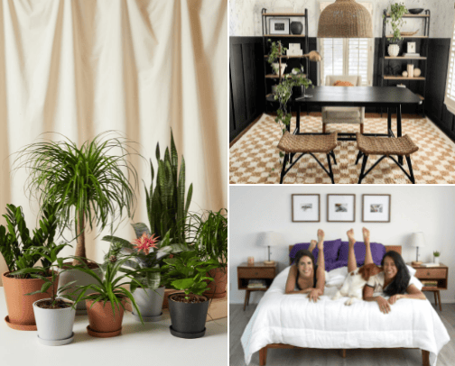 Boho home decor favorites cover photo collage