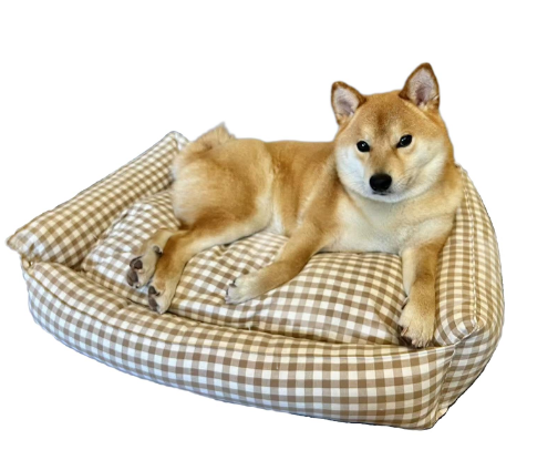 Puppy Paradise: making home cozy for your new puppy cover photo collage