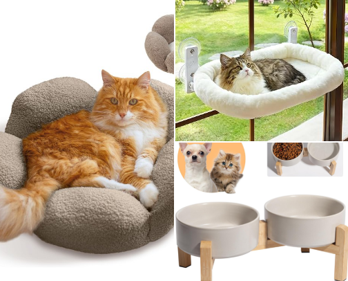 Cat Lover Must-Have 🐾 cover photo collage