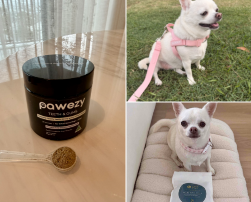Sunny’s Fave Pet Products cover photo collage