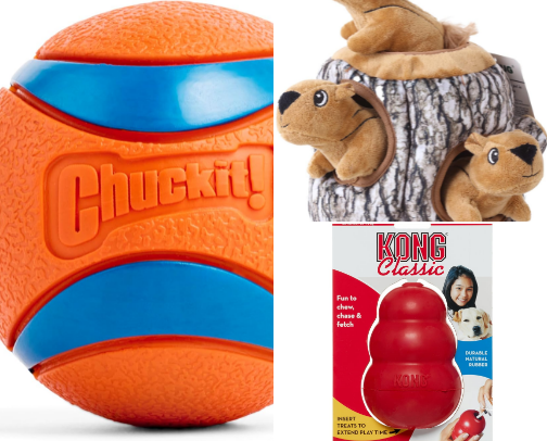 Best Dog Products Under $30: Affordable Essentials Every Dog Owner Needs cover photo collage