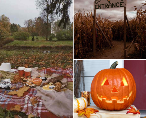 18 Fun Things To Do This Fall cover photo collage