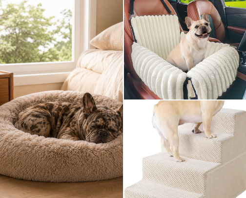 My French Bulldogs  Favs cover photo collage