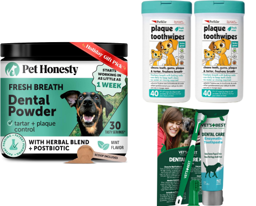 Nail your dog's dental care without the drama cover photo collage