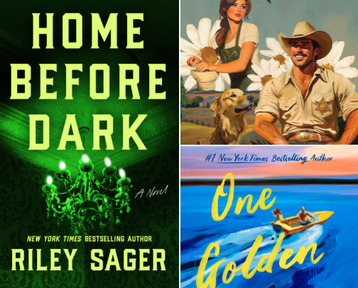 Book Bestie Recommendations cover photo collage