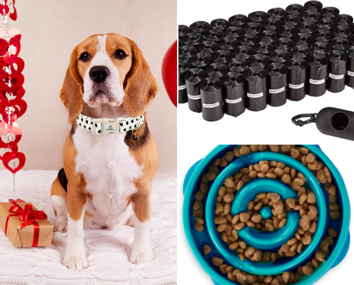 Life with Pets cover photo collage