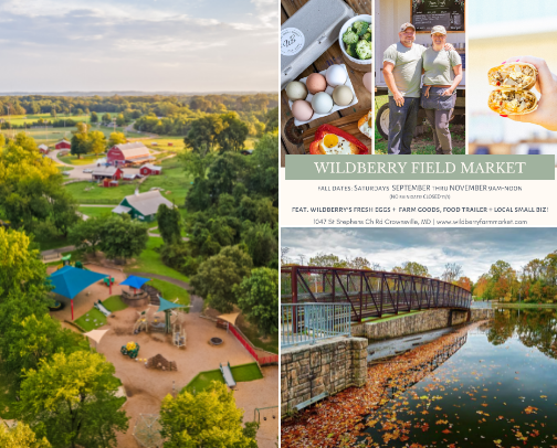 Things to do in Severna Park, Maryland - near Annapolis and Baltimore cover photo collage