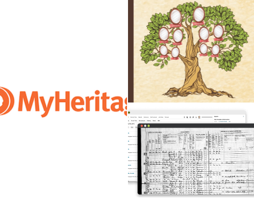 Roots, Branches, and Leaves: For the Love of the Family Tree cover photo collage